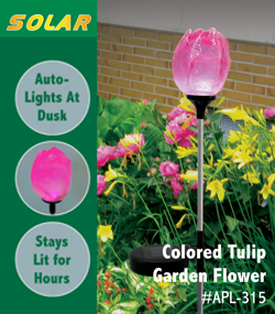 Solar Garden Tulip