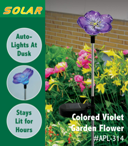 Solar Garden Violets